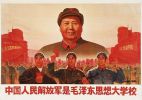 pla51.jpg