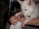 BeckThor_01_640x480 (Small).JPG