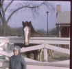 Ed and horse.jpg